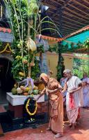 Dhwajarohana